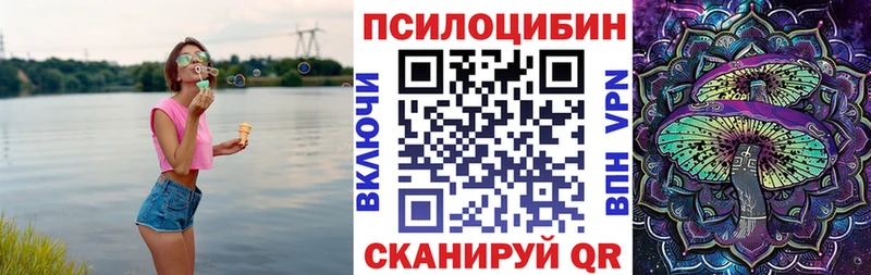 Купить где Белореченск Галлюциногенные грибы Psilocybe